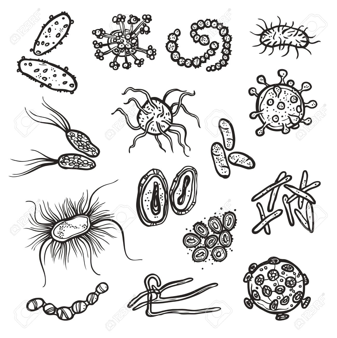 bacteria drawings